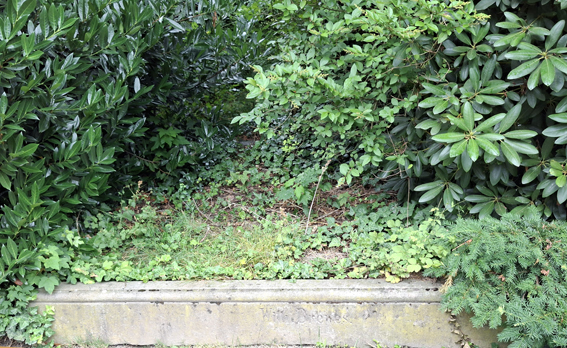 Datei:Bergelmann Friedhof 188 Dreves Andreas Janik 20250707.jpg