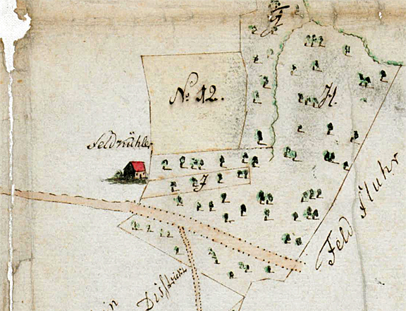 Datei:Feldkühler Sodingen.jpg