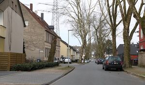 Alleestrasse Gerd Biedermann 2016.jpg