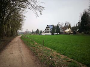 Am-Ruhmbach2-März2019.jpg