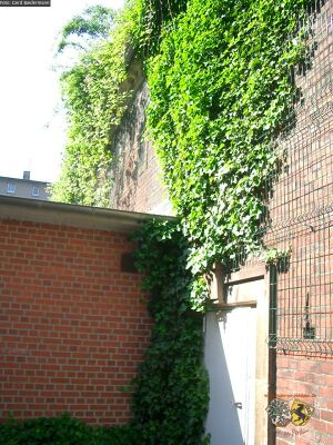 Bunker Amtmann Winter strasse 1.jpg