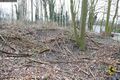 Bunker in Börnig