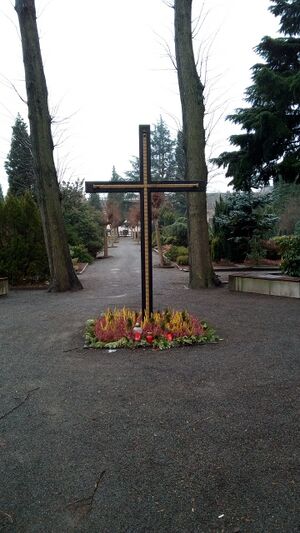 Ev Wanne-Mitte Andreas Janik 20170131-04.jpg