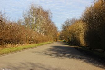 Gneisenaustraße am 07.03.2015 [1]