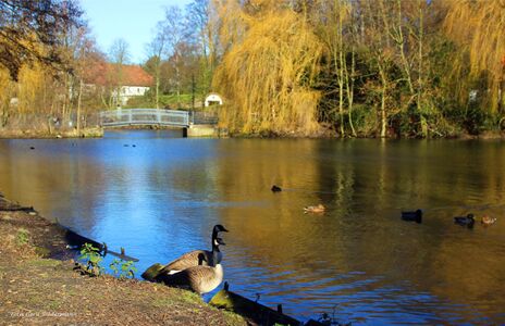 Foto G. Biedermann