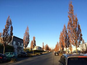 Hülsstrasse-ts-20150311.jpg