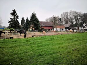 Hof-Wittenberg-März2019.jpg