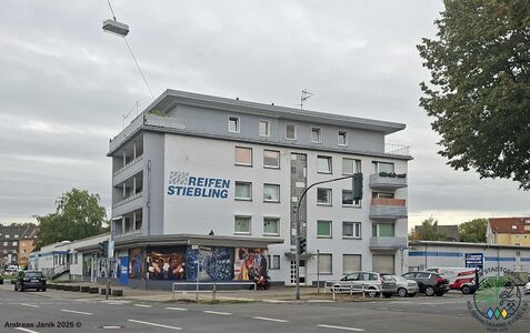 Reifen Stiebling 2026