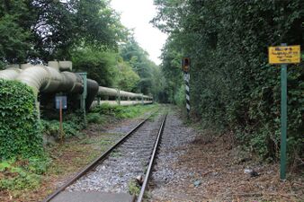 Krokusweg am 15.08.2021