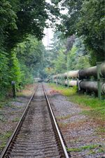 Krokusweg am 15.08.2021