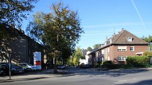 Lohofstrasse Gerd Biedermann 2016.jpeg