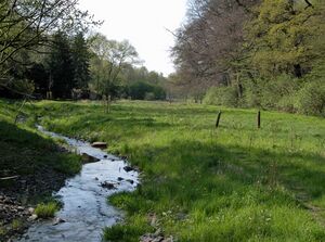 Monno-Bild6-Gysenberg-Ostbach.jpg