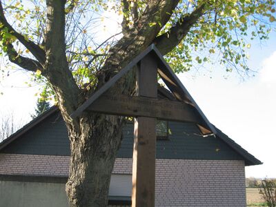 Das Pestkreutz