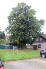 Urbanuslinde und Pestkreuz