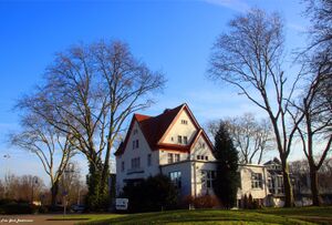 Stadtgarten7.jpg