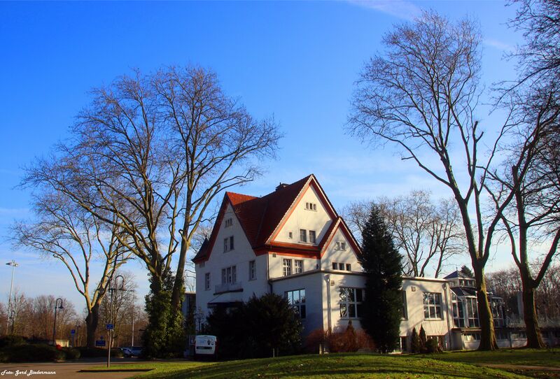 Datei:Stadtgarten7.jpg