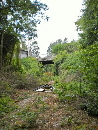 Blick auf die ehemalige Trasse