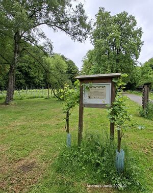 Weinberg Gysenberg Janik 2026.jpg