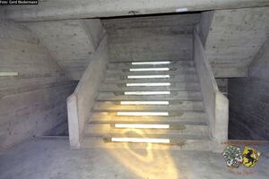 14311309 1422526927775245 8258465948310762040 o.jpg