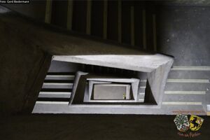 14361342 1422527241108547 7424887028068682172 o.jpg