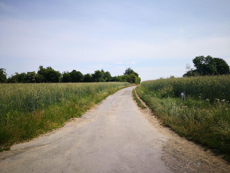 Datei:2019-Lange Straße-1.jpg