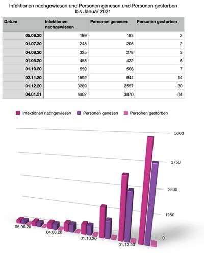 Infektionen nachgewiesen und Personen genesen und Personen gestorben  bis 4. Januar 2021