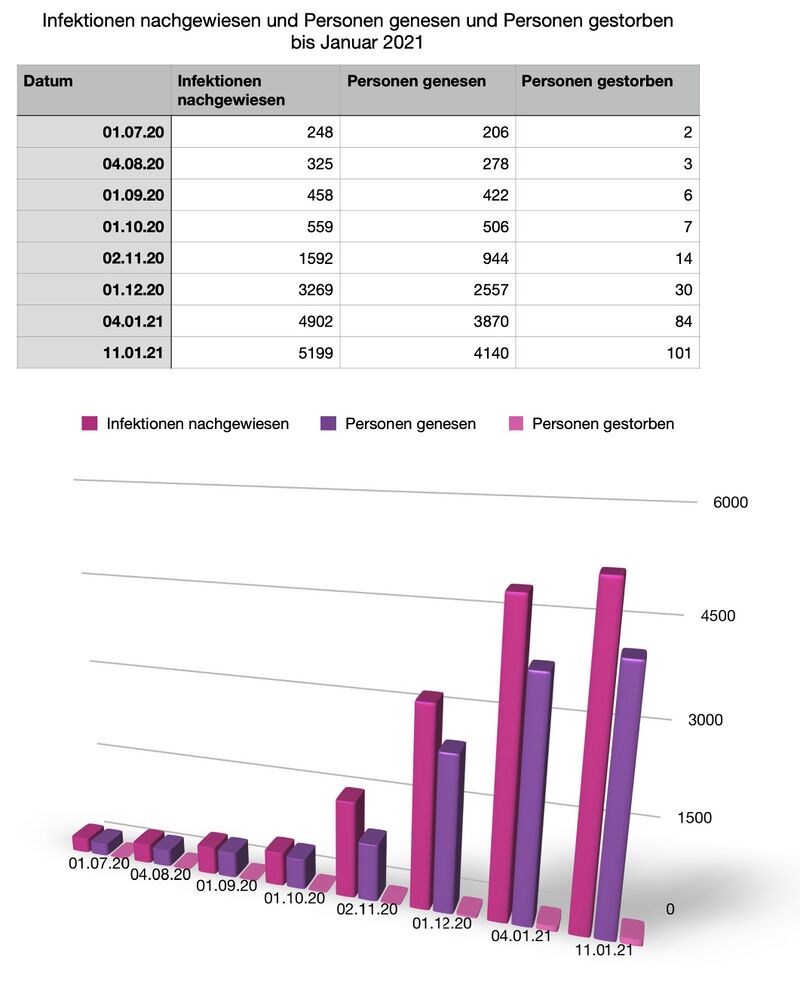 Infektionen nachgewiesen und Personen genesen und Personen gestorben  bis Januar 2021