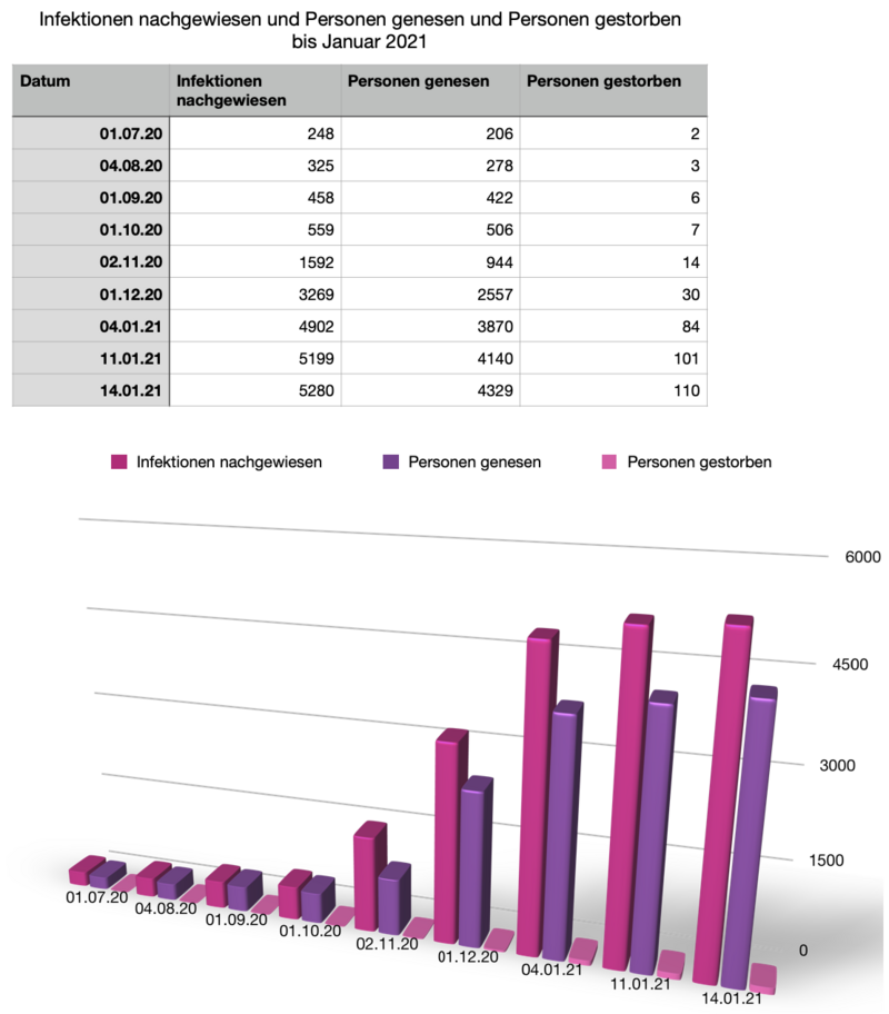 Infektionen nachgewiesen und Personen genesen und Personen gestorben bis Januar 2021