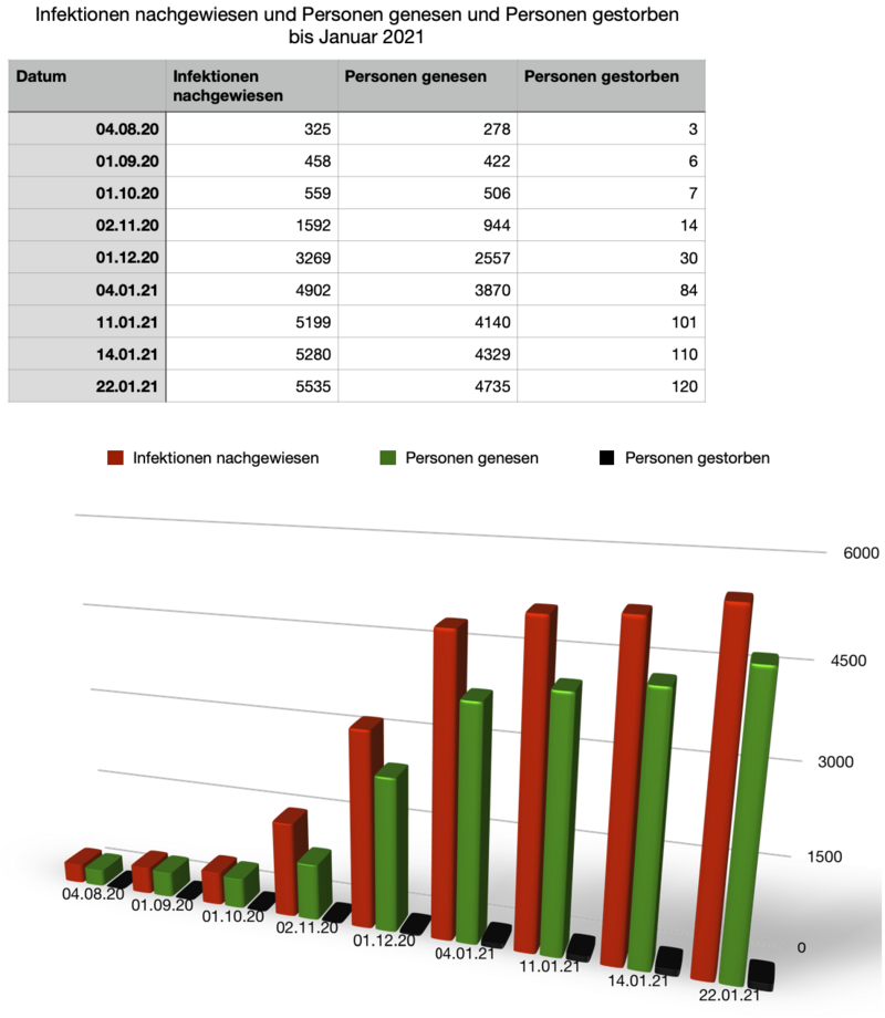 Infektionen nachgewiesen und Personen genesen und Personen gestorben bis Januar 2021