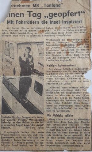 38544199 215412619125616 7811697899628134400 n.jpg