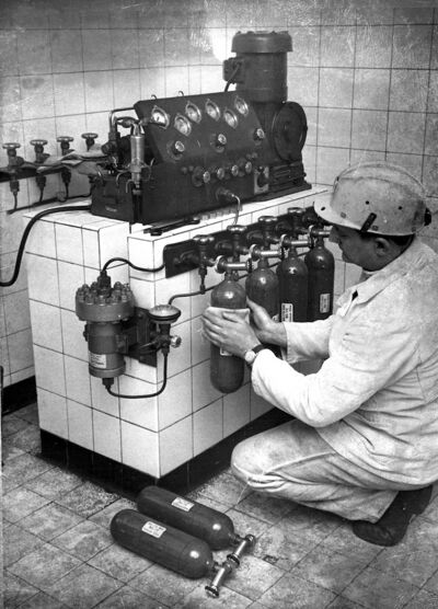 Adolf Freese 1970er-Jahre.jpg