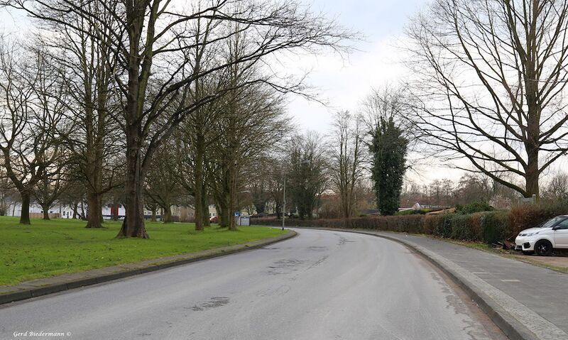 Datei:Albert Einstein Strasse Gerd Biedermann 2016.jpeg