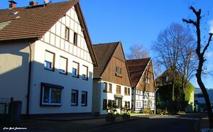 Alt Crange Gerd Biedermann 2016.jpeg