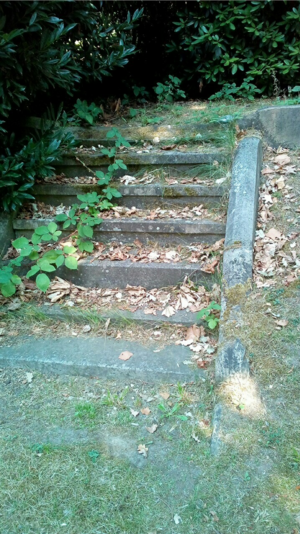 Alte Gräber Bild 04 Andras Janik.png