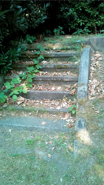 Datei:Alte Gräber Bild 04 Andras Janik.png