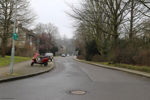 Am Böckenbusch Gerd Biedermann 2016.jpeg