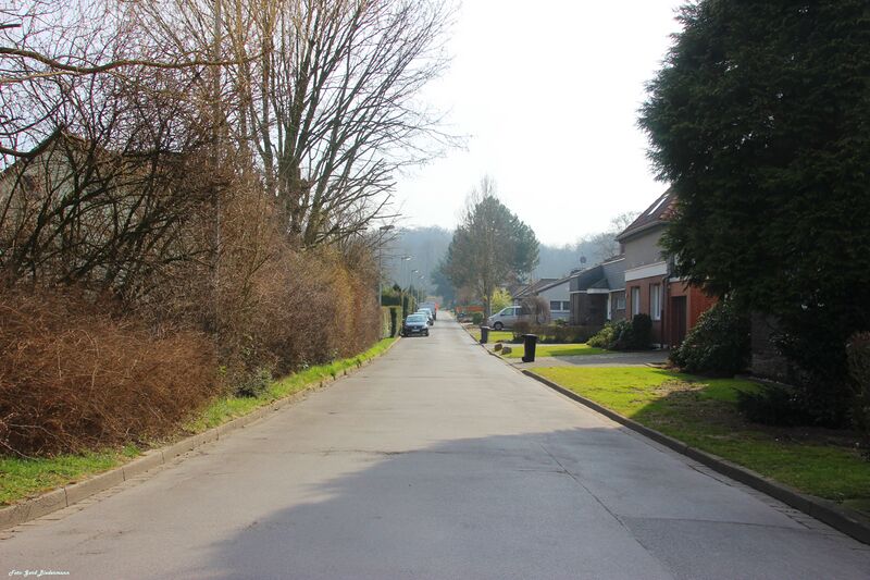 Datei:Am Düngelbruch-gb-2015.jpg