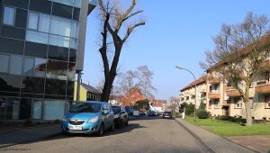 Am Ruschenhof Gerd Biedermann 2016.jpg