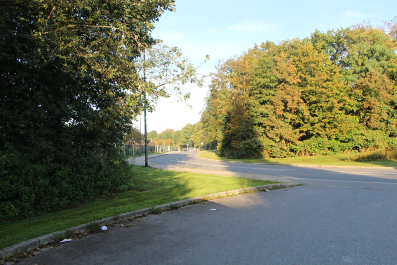 Datei:Am Wananas 2317 TS 20211010.png