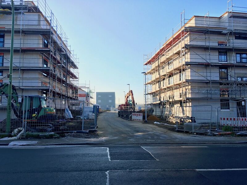 Datei:Anger 9761 Thorsten Schmidt 20181117.jpg