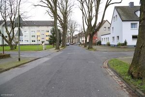 Aschebrock 3 Gerd Biedermann 2016.jpeg