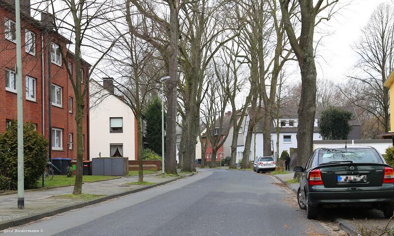 Datei:Aschebrock Gerd Biedermann 2016.jpeg