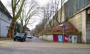 Auf dem Beisendreisch Gerd Biedermann 2016.jpg