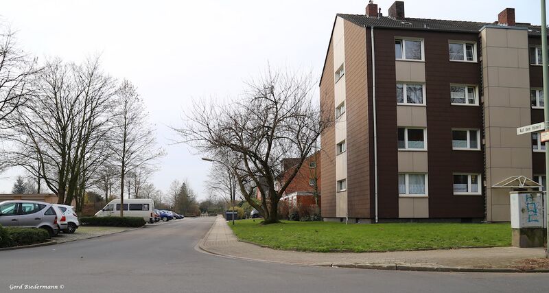 Datei:Auf dem Hünert Gerd Biedermann 2016.jpg