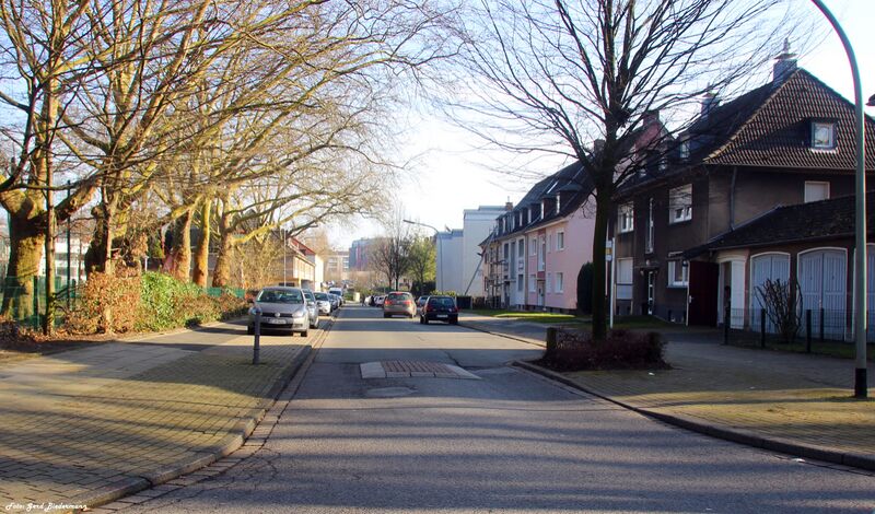 Datei:Auf dem Rohde.jpg