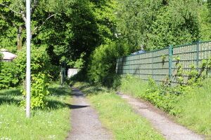 Auf der Buxel 1882 TS 20210524.jpg