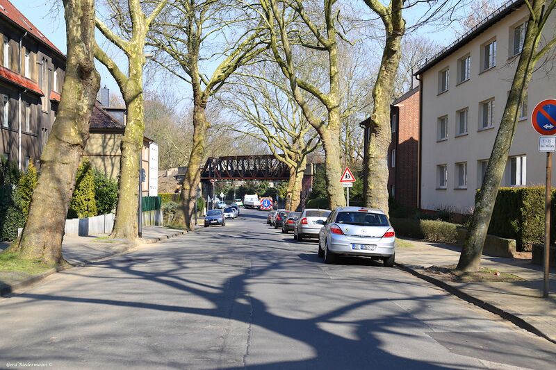 Datei:Auf der Wilbe 4 Gerd Biedermann 2016.jpeg