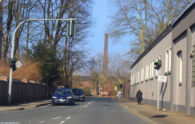 Datei:Baumstraße Gerd Biedermann 2016.jpeg