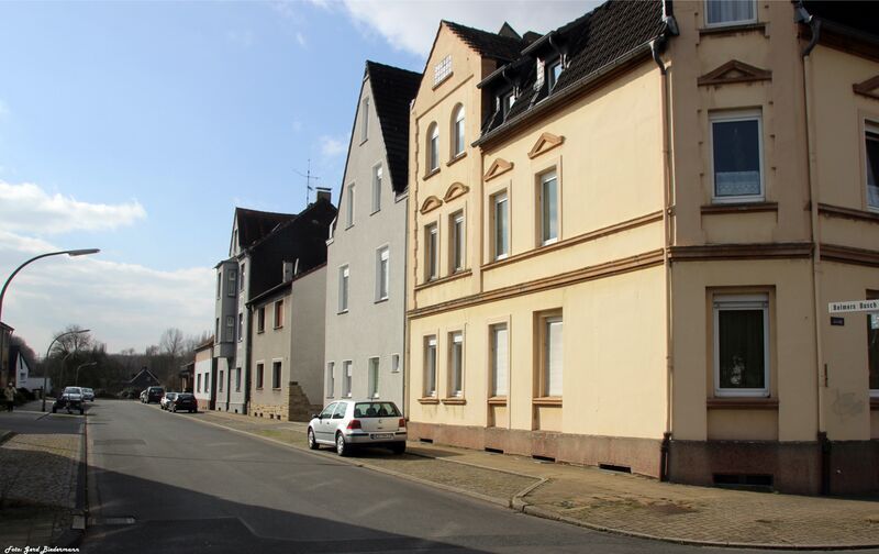 Datei:Belmers Busch2-gb-2015.jpg