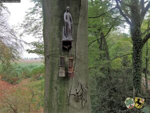 Bergmannsbuche Hl Barbara Marcus Schubert 20181025.jpg